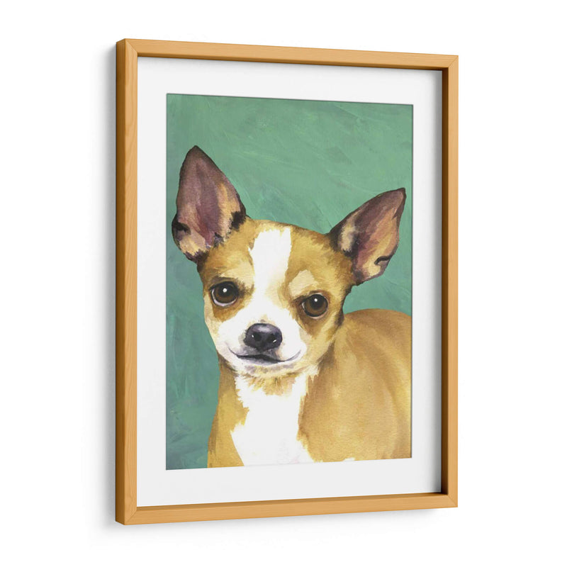 Retrato De Perro-Chihuahua - Jill Sands | Cuadro decorativo de Canvas Lab