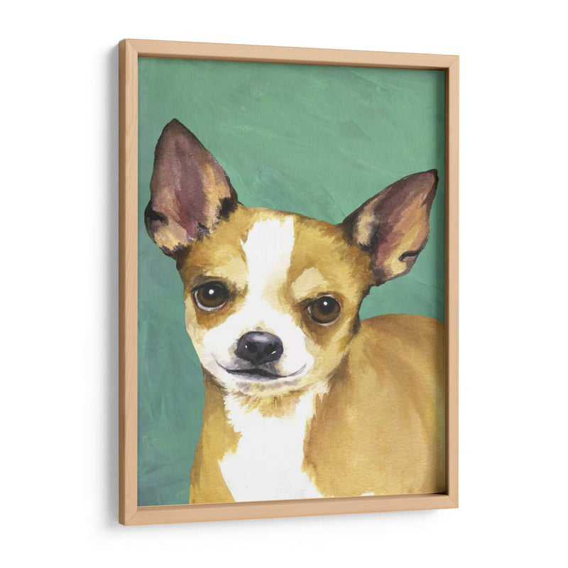 Retrato De Perro-Chihuahua - Jill Sands | Cuadro decorativo de Canvas Lab