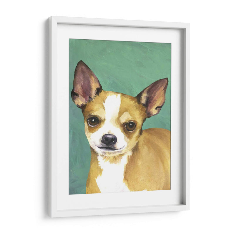 Retrato De Perro-Chihuahua - Jill Sands | Cuadro decorativo de Canvas Lab