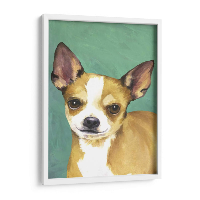 Retrato De Perro-Chihuahua - Jill Sands | Cuadro decorativo de Canvas Lab