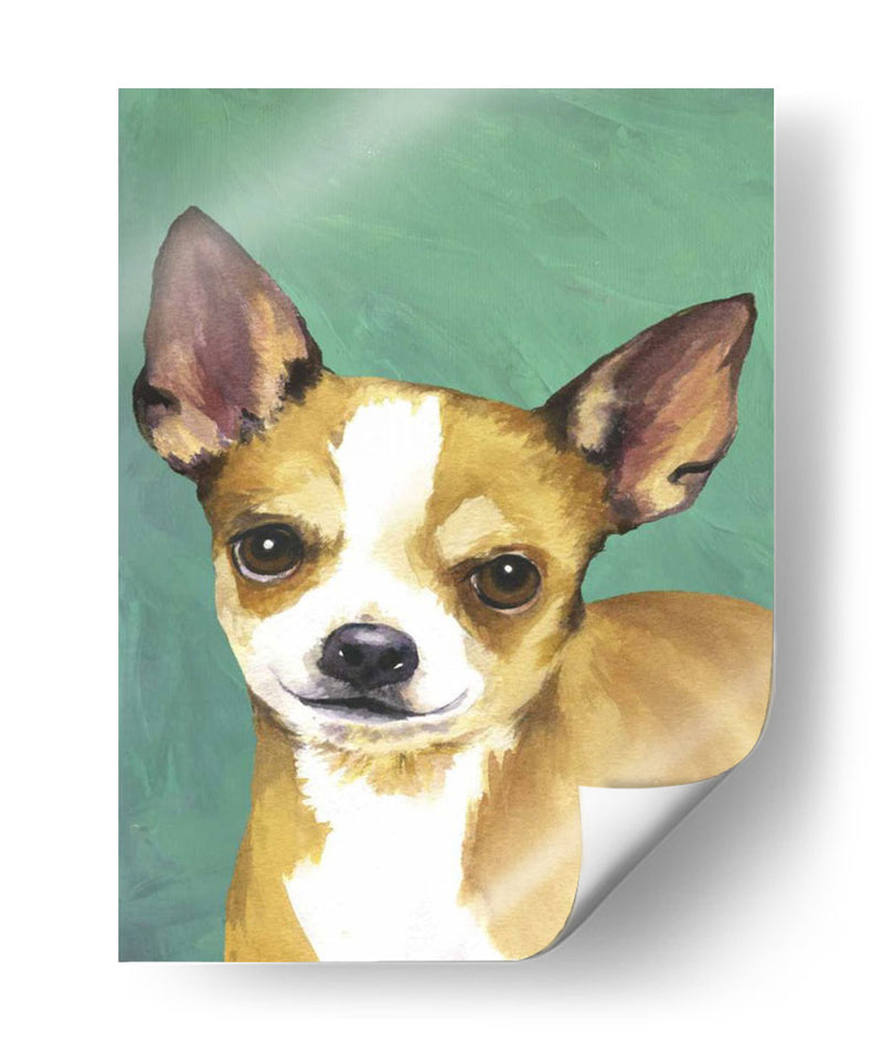 Retrato De Perro-Chihuahua - Jill Sands | Cuadro decorativo de Canvas Lab