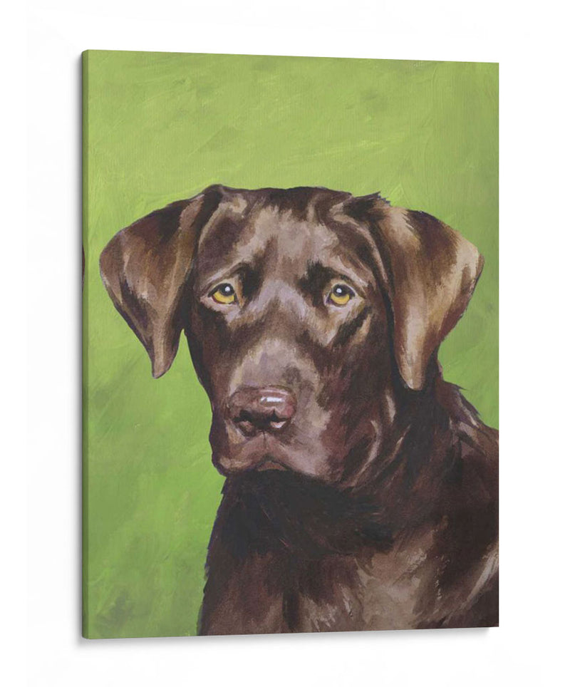 Perro Retrato-Chocolate - Jill Sands | Cuadro decorativo de Canvas Lab