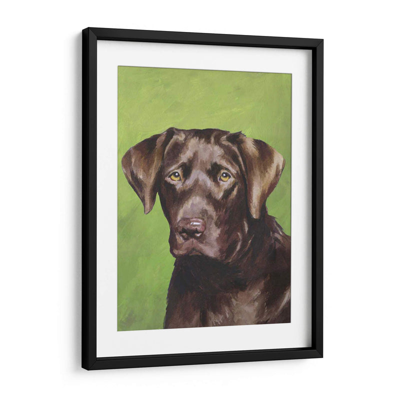 Perro Retrato-Chocolate - Jill Sands | Cuadro decorativo de Canvas Lab