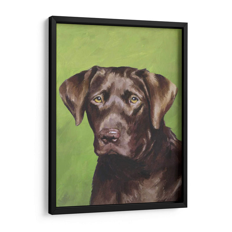 Perro Retrato-Chocolate - Jill Sands | Cuadro decorativo de Canvas Lab