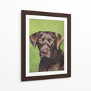 Perro Retrato-Chocolate - Jill Sands | Cuadro decorativo de Canvas Lab