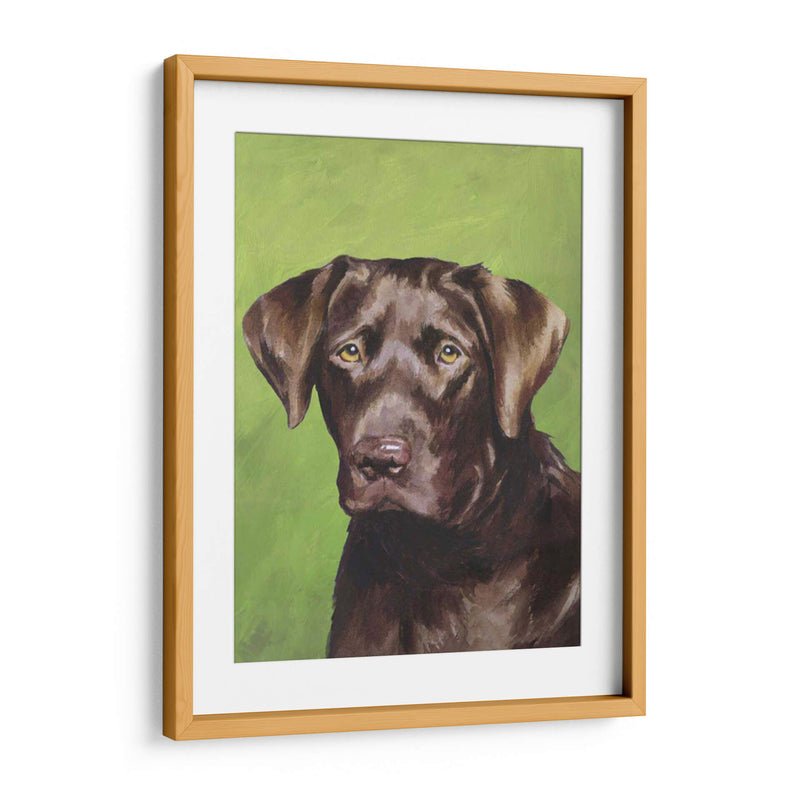 Perro Retrato-Chocolate - Jill Sands | Cuadro decorativo de Canvas Lab