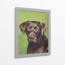 Perro Retrato-Chocolate - Jill Sands | Cuadro decorativo de Canvas Lab