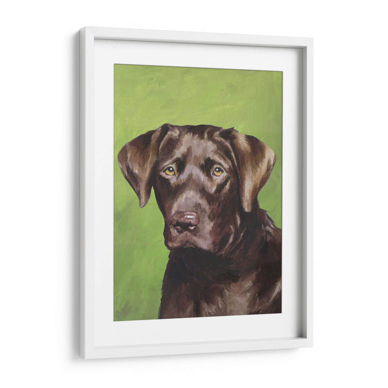 Perro Retrato-Chocolate - Jill Sands | Cuadro decorativo de Canvas Lab