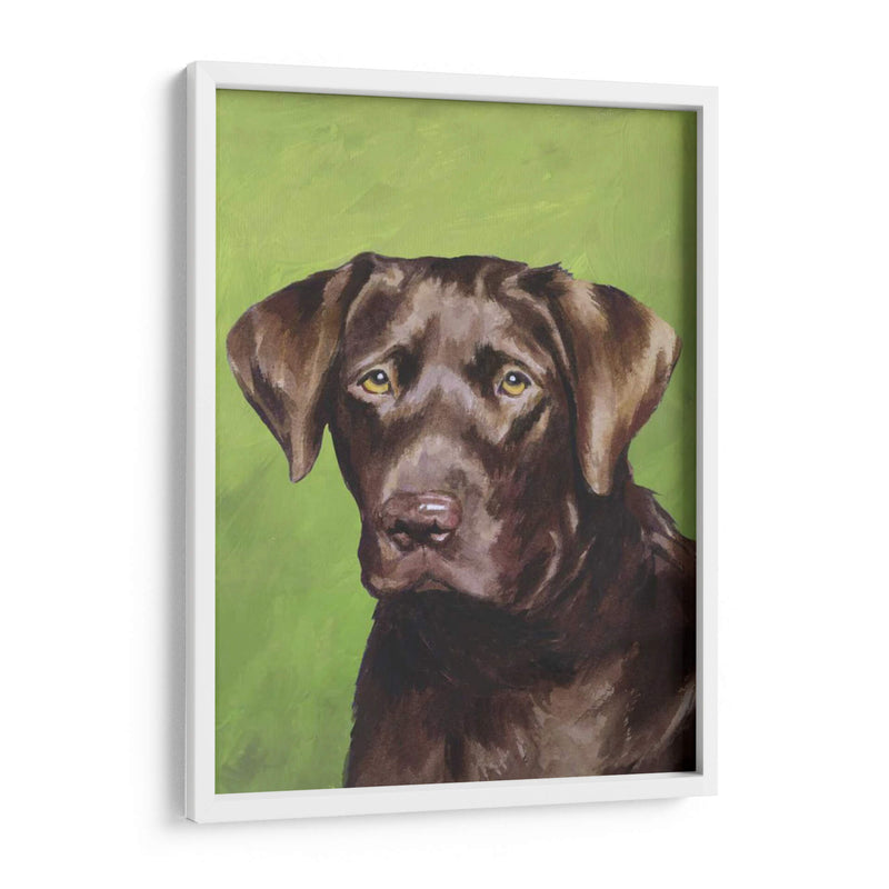 Perro Retrato-Chocolate - Jill Sands | Cuadro decorativo de Canvas Lab