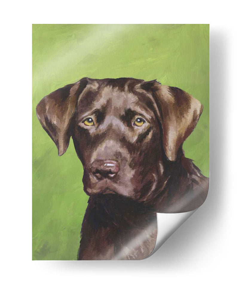 Perro Retrato-Chocolate - Jill Sands | Cuadro decorativo de Canvas Lab