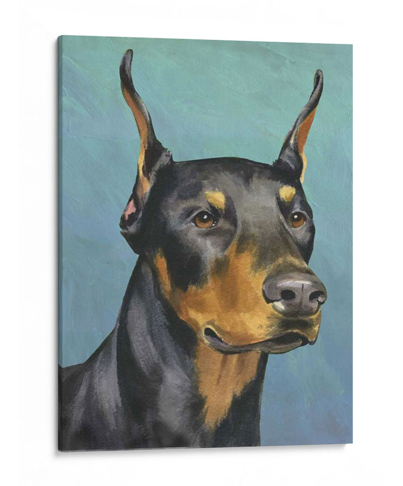 Retrato De Perro-Dobie - Jill Sands | Cuadro decorativo de Canvas Lab