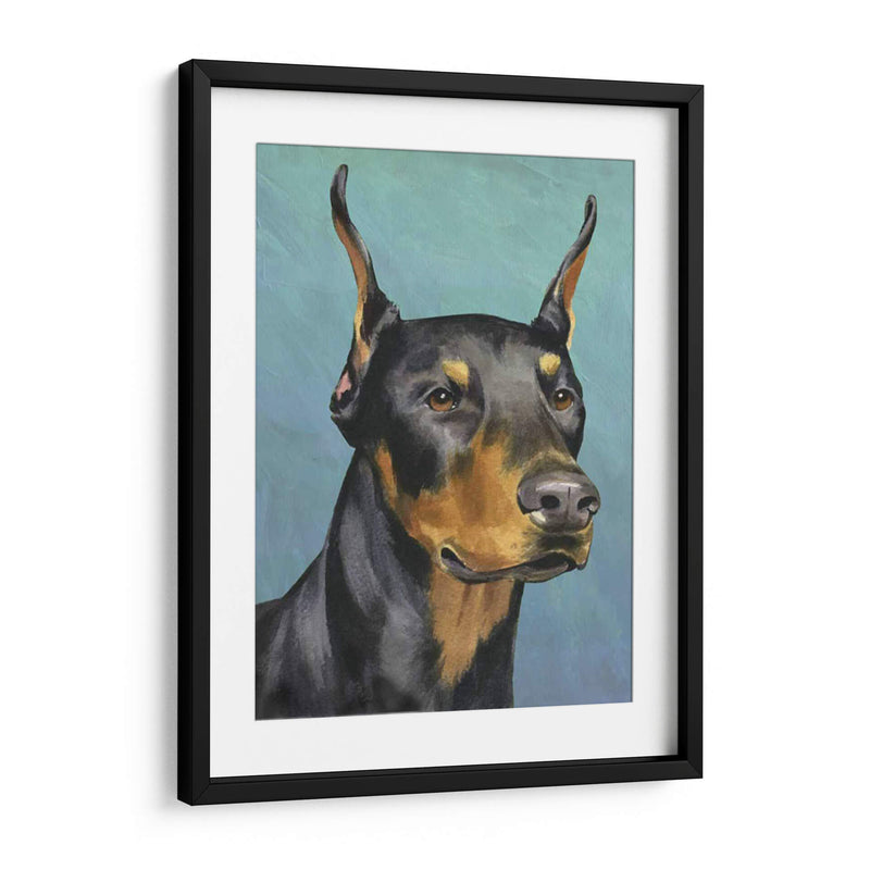 Retrato De Perro-Dobie - Jill Sands | Cuadro decorativo de Canvas Lab