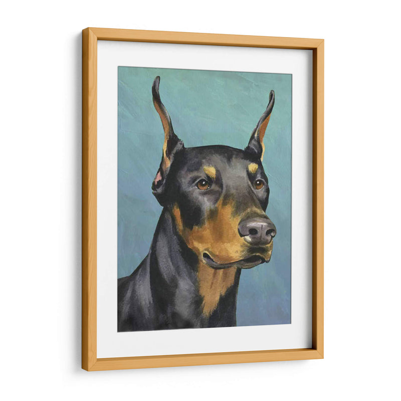 Retrato De Perro-Dobie - Jill Sands | Cuadro decorativo de Canvas Lab