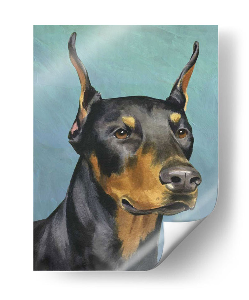 Retrato De Perro-Dobie - Jill Sands | Cuadro decorativo de Canvas Lab