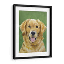 Retrato De Perro-Dorado - Jill Sands | Cuadro decorativo de Canvas Lab