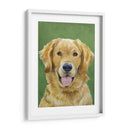 Retrato De Perro-Dorado - Jill Sands | Cuadro decorativo de Canvas Lab