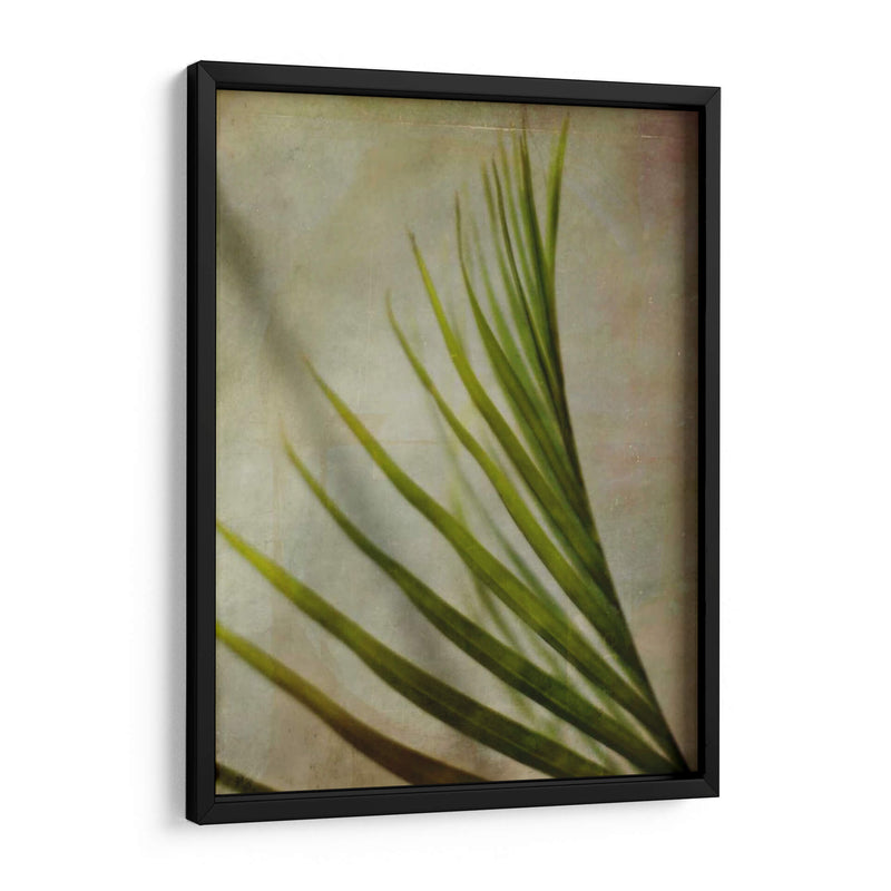 Fronda Elegante I - Emily Robinson | Cuadro decorativo de Canvas Lab