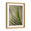 Fronda Elegante I - Emily Robinson | Cuadro decorativo de Canvas Lab