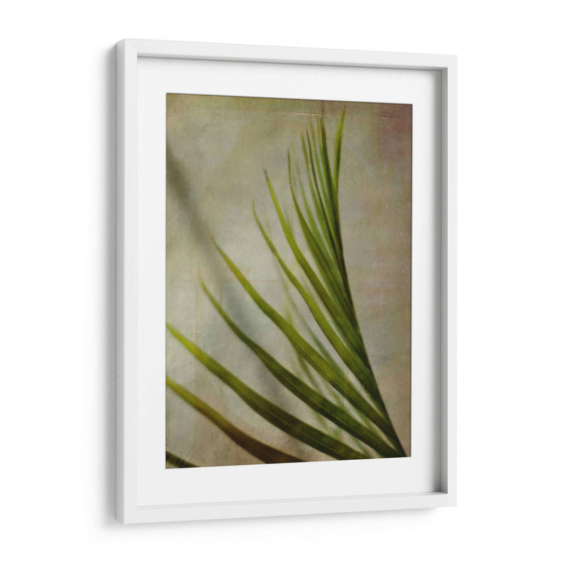 Fronda Elegante I - Emily Robinson | Cuadro decorativo de Canvas Lab