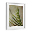 Fronda Elegante I - Emily Robinson | Cuadro decorativo de Canvas Lab