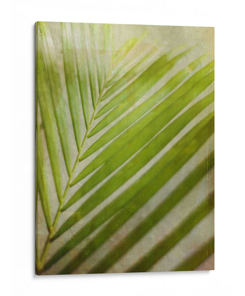 Elegante Frond Ii - Emily Robinson | Cuadro decorativo de Canvas Lab