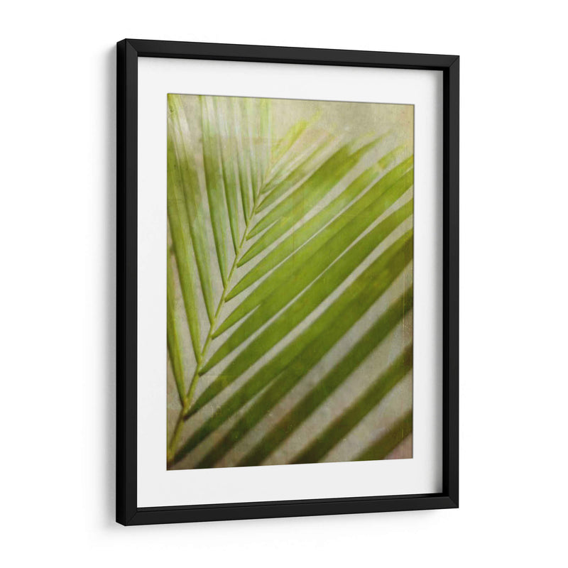 Elegante Frond Ii - Emily Robinson | Cuadro decorativo de Canvas Lab