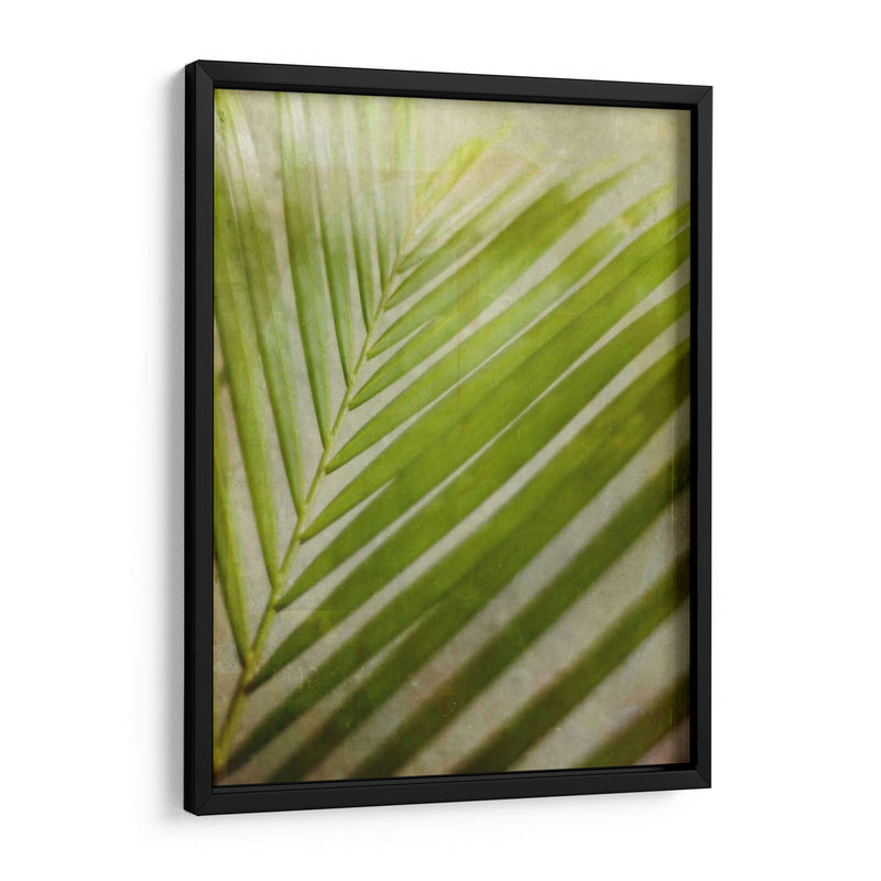 Elegante Frond Ii - Emily Robinson | Cuadro decorativo de Canvas Lab