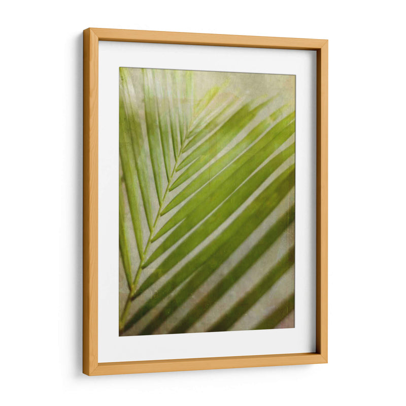 Elegante Frond Ii - Emily Robinson | Cuadro decorativo de Canvas Lab