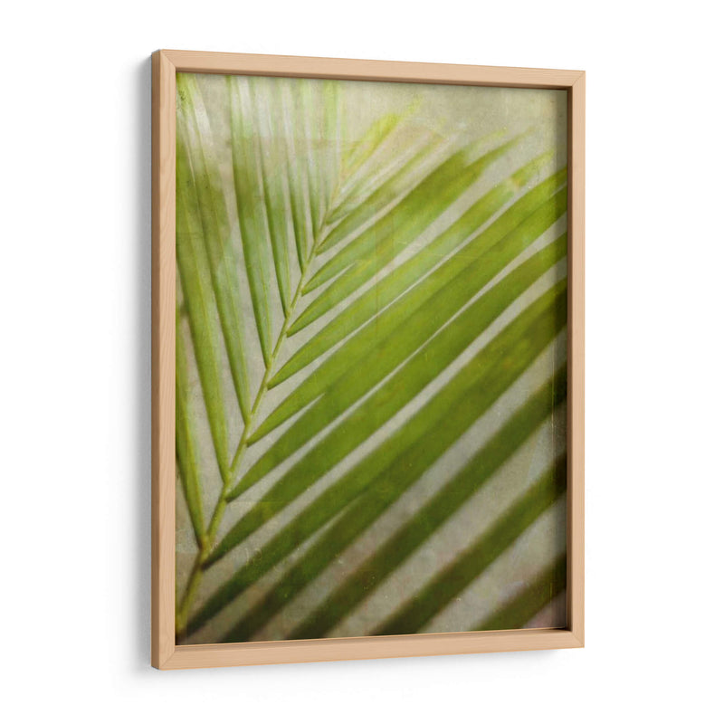 Elegante Frond Ii - Emily Robinson | Cuadro decorativo de Canvas Lab