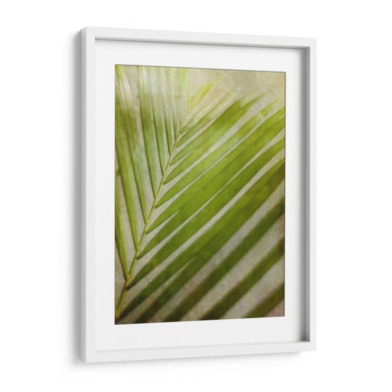 Elegante Frond Ii - Emily Robinson | Cuadro decorativo de Canvas Lab