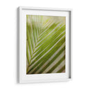Elegante Frond Ii - Emily Robinson | Cuadro decorativo de Canvas Lab