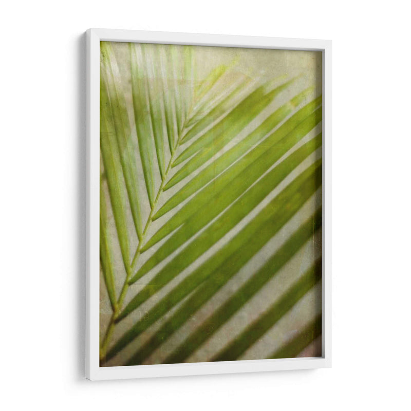 Elegante Frond Ii - Emily Robinson | Cuadro decorativo de Canvas Lab