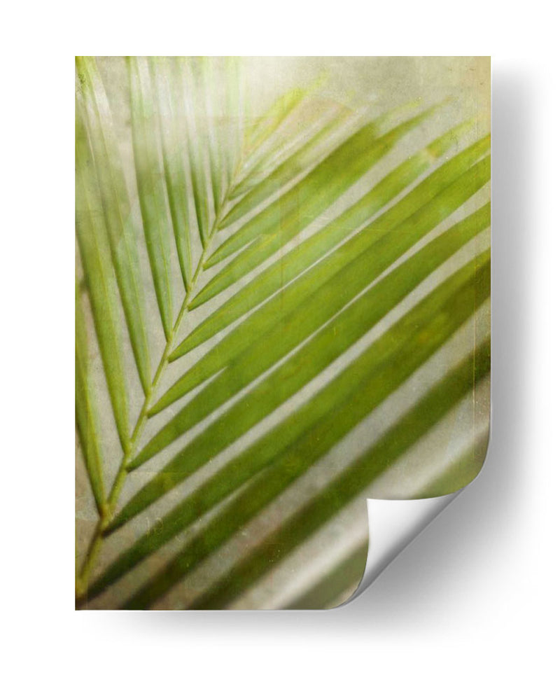 Elegante Frond Ii - Emily Robinson | Cuadro decorativo de Canvas Lab