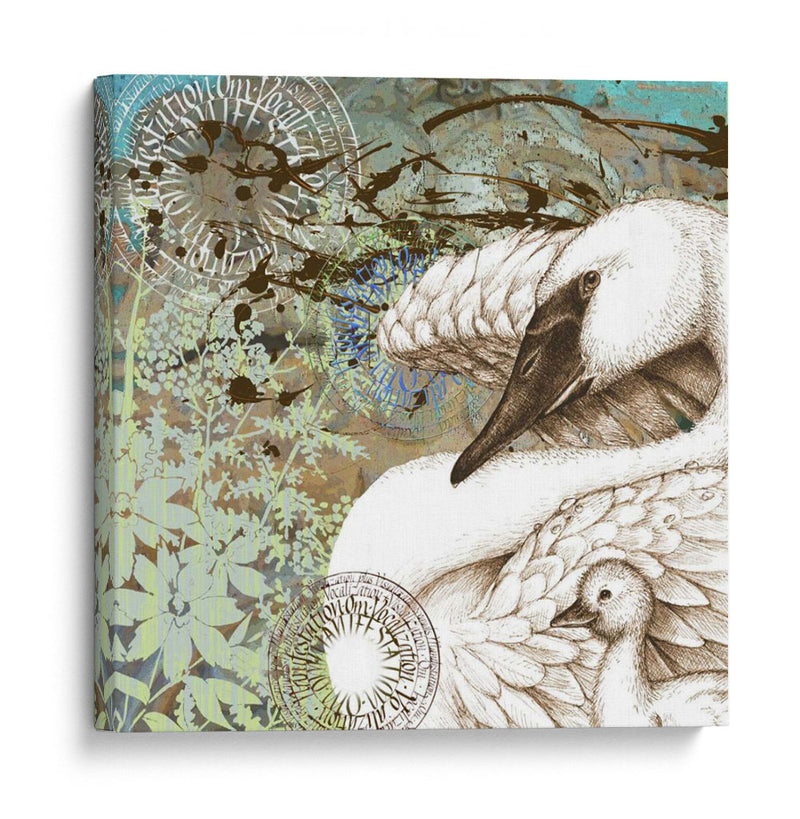 Cisne Splash I - R. Collier-Morales | Cuadro decorativo de Canvas Lab