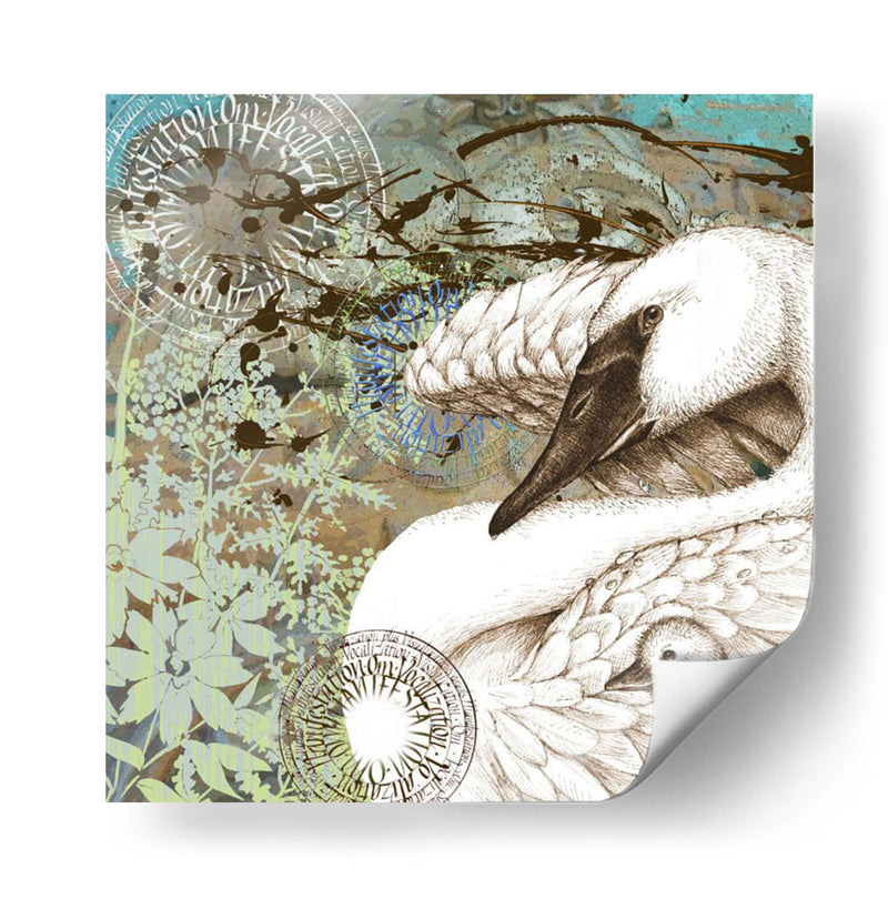 Cisne Splash I - R. Collier-Morales | Cuadro decorativo de Canvas Lab