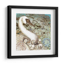 Cisne Splash Ii - R. Collier-Morales | Cuadro decorativo de Canvas Lab