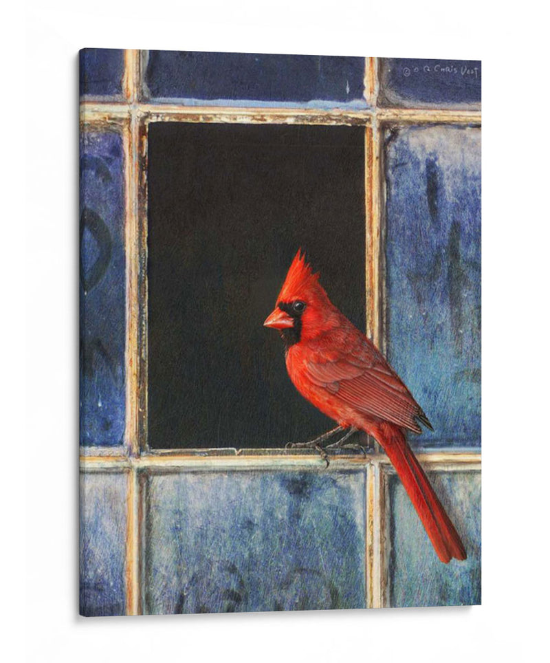 Ventana Cardinal - Chris Vest | Cuadro decorativo de Canvas Lab