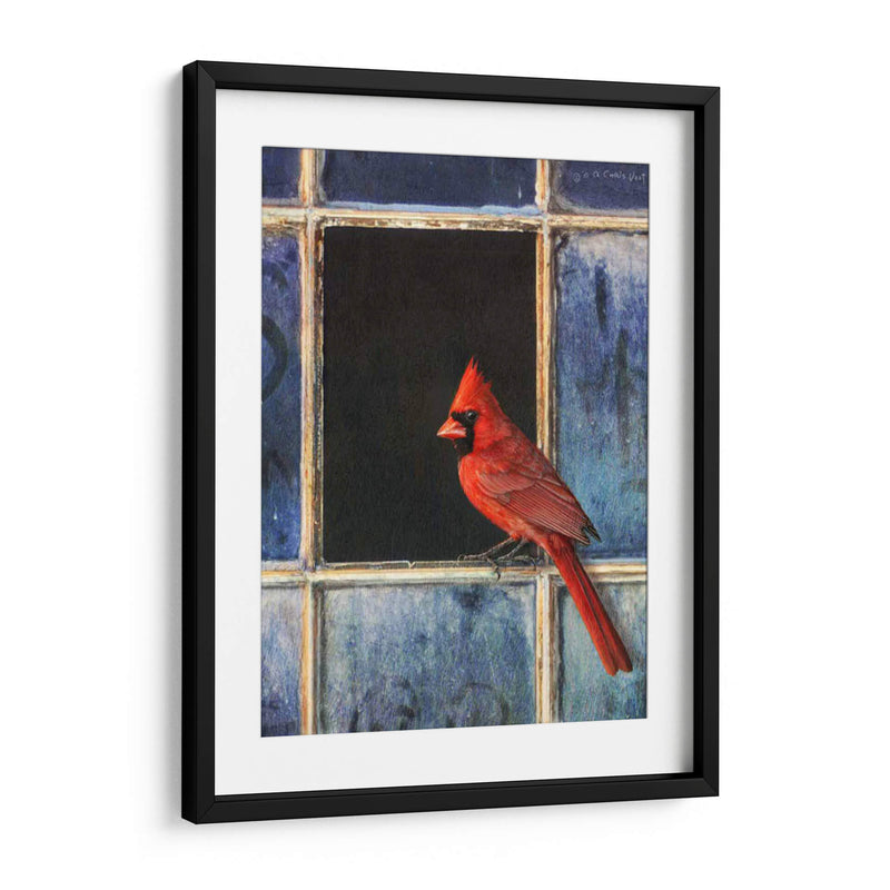 Ventana Cardinal - Chris Vest | Cuadro decorativo de Canvas Lab