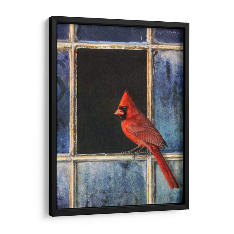 Ventana Cardinal - Chris Vest | Cuadro decorativo de Canvas Lab