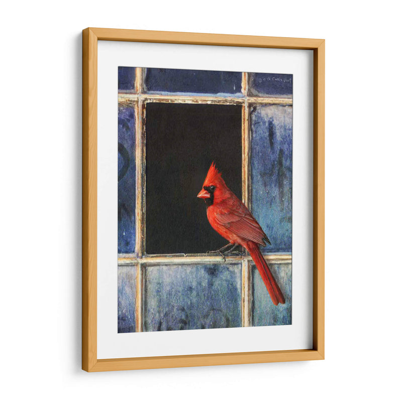 Ventana Cardinal - Chris Vest | Cuadro decorativo de Canvas Lab