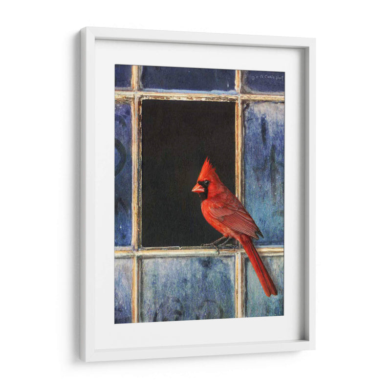 Ventana Cardinal - Chris Vest | Cuadro decorativo de Canvas Lab