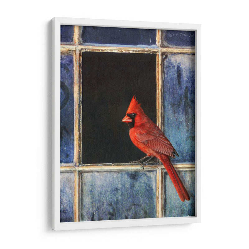 Ventana Cardinal - Chris Vest | Cuadro decorativo de Canvas Lab