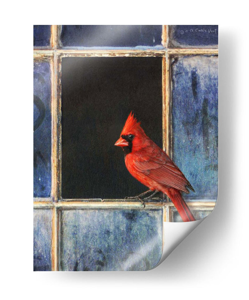 Ventana Cardinal - Chris Vest | Cuadro decorativo de Canvas Lab