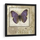 Mariposa Notas I - Beth Anne Creative | Cuadro decorativo de Canvas Lab