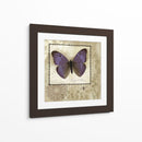 Mariposa Notas I - Beth Anne Creative | Cuadro decorativo de Canvas Lab
