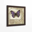 Mariposa Notas I - Beth Anne Creative | Cuadro decorativo de Canvas Lab