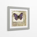 Mariposa Notas I - Beth Anne Creative | Cuadro decorativo de Canvas Lab