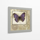 Mariposa Notas I - Beth Anne Creative | Cuadro decorativo de Canvas Lab