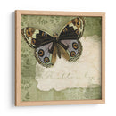 Notas De Mariposa Iv - Beth Anne Creative | Cuadro decorativo de Canvas Lab