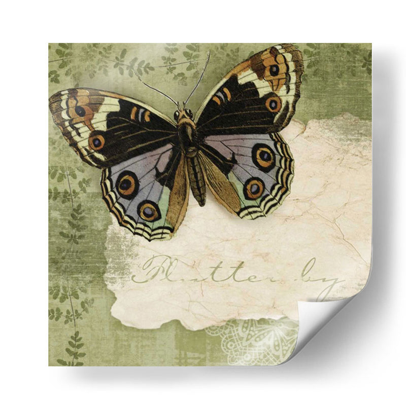 Notas De Mariposa Iv - Beth Anne Creative | Cuadro decorativo de Canvas Lab